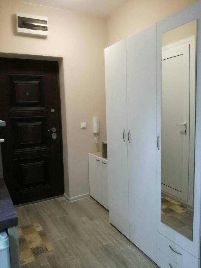 Art Studio Vinitsa Warna Zewnętrze zdjęcie